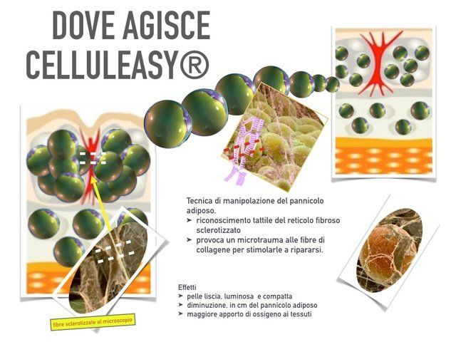dove agisce celluleasy