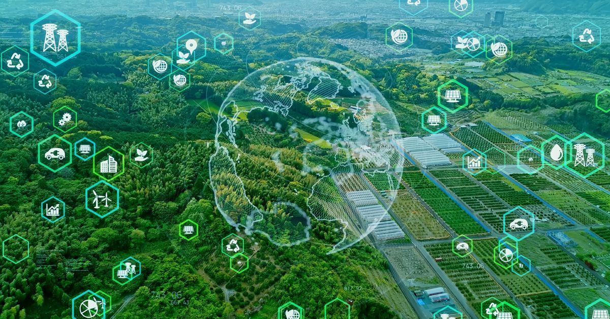An aerial view of a forest with a globe in the middle surrounded by icons.