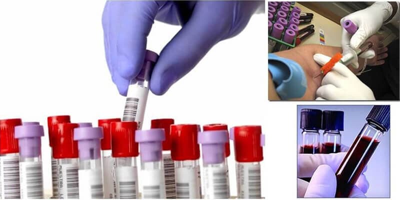 Laboratorios Vida