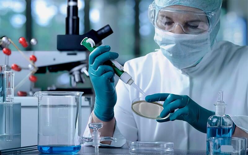Laboratorios Vida
