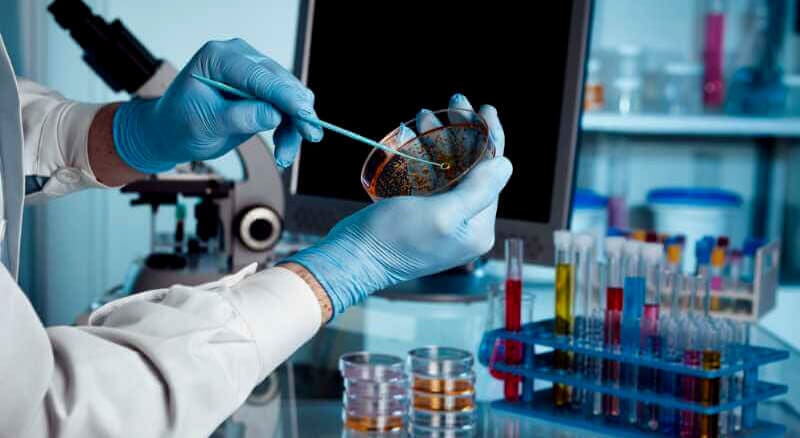 Laboratorios Vida