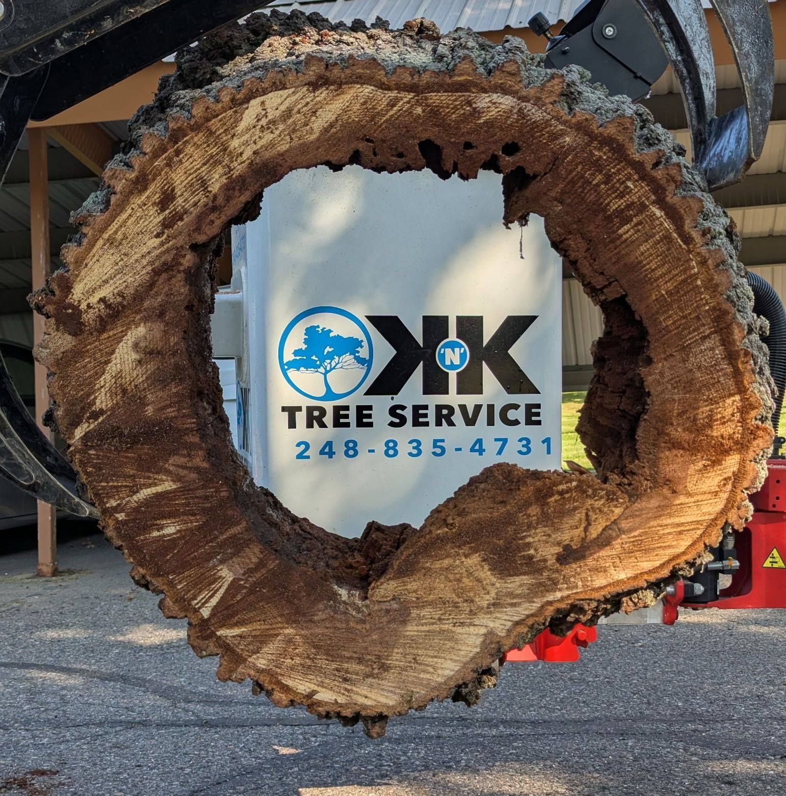 An arborist in a harness climbs a tall, sunlit tree with a chainsaw hanging at their side.