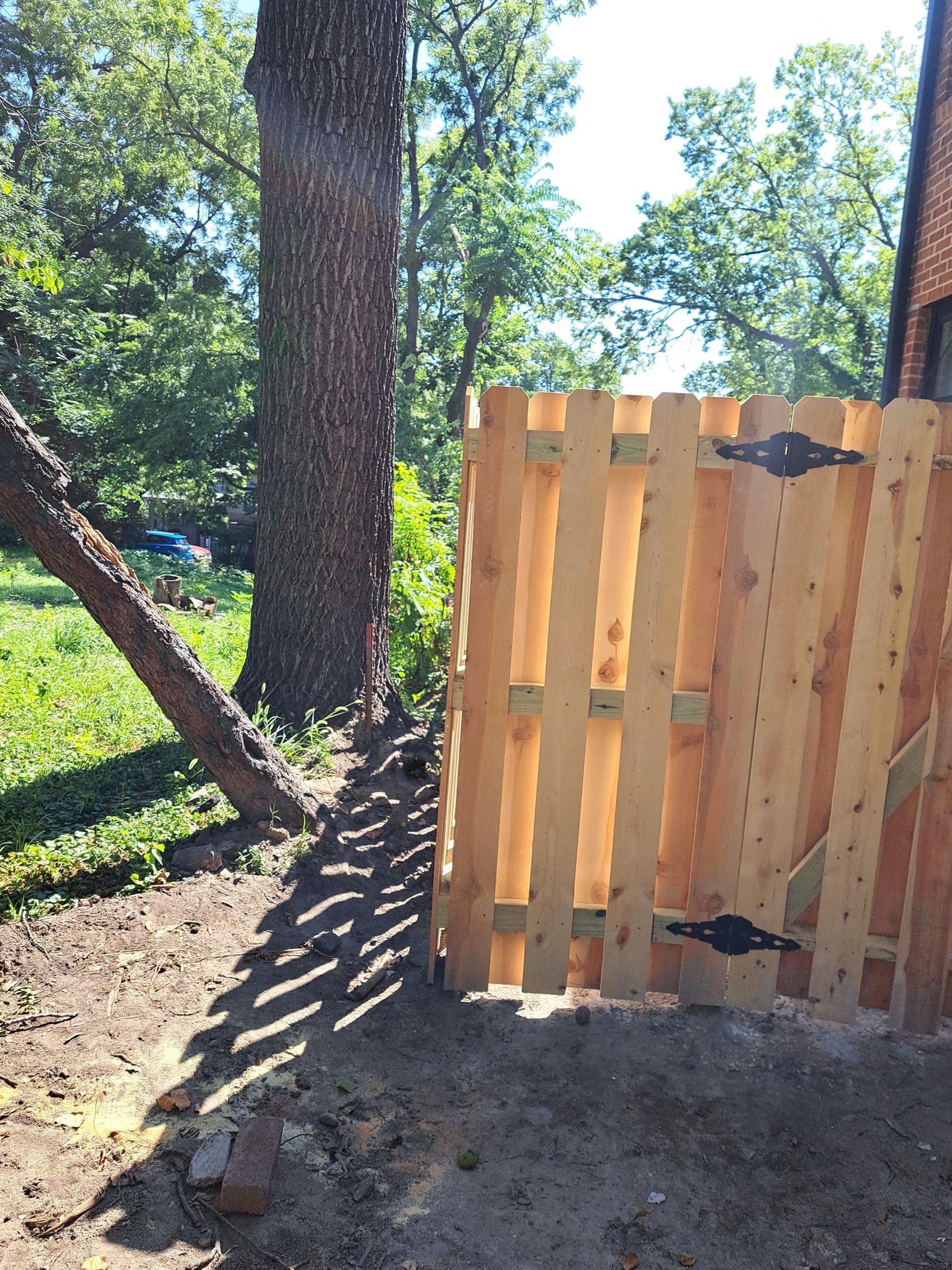 A wooden fence with a gate is surrounded by trees