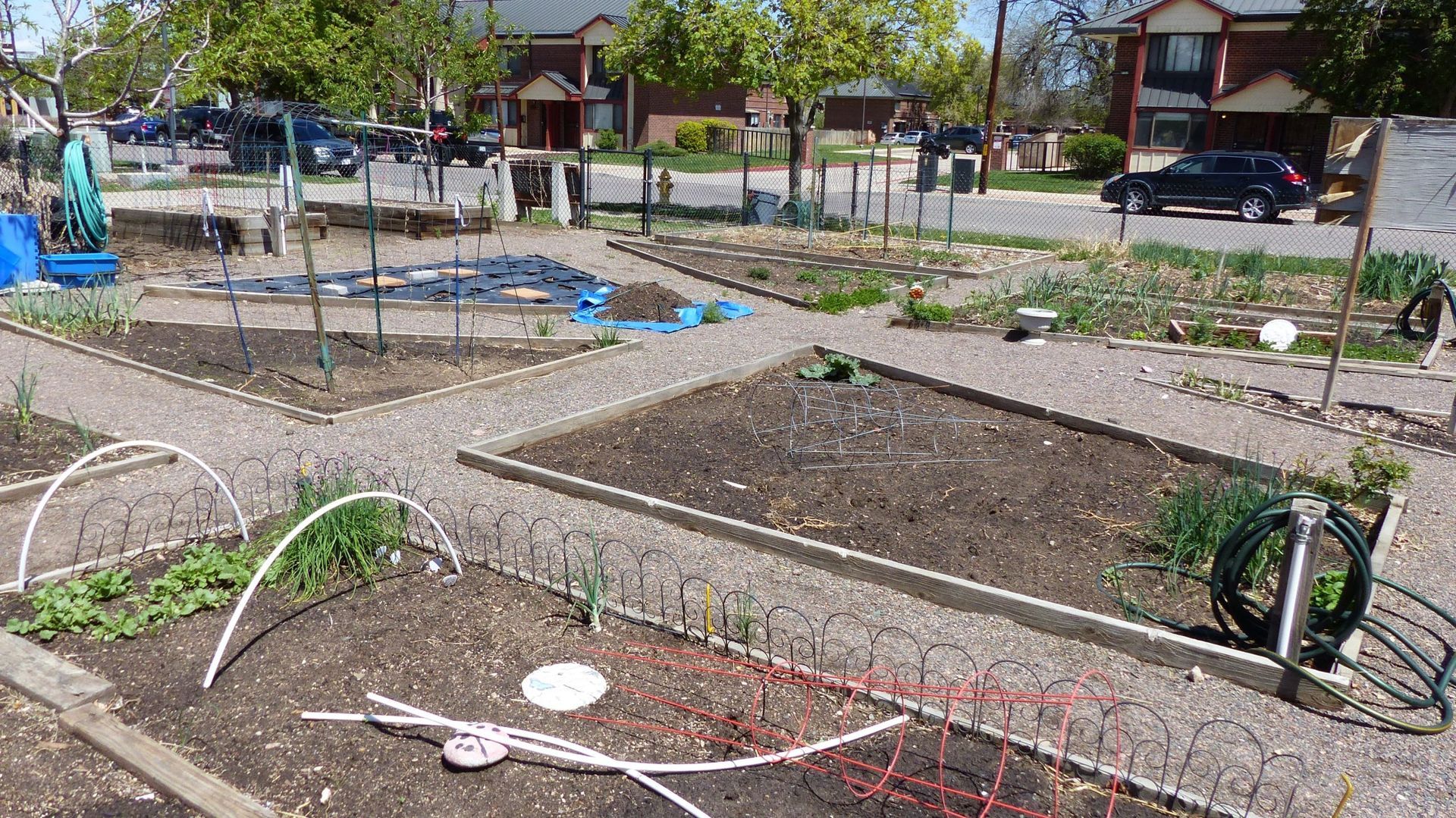 Raised garden beds in a community garden, with sparse plants, hoses, and a street in the background