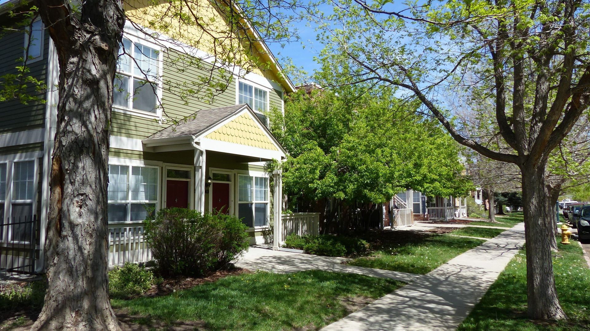Tree-lined residential sidewalk beside tan houses with white trim and porches on a sunny day