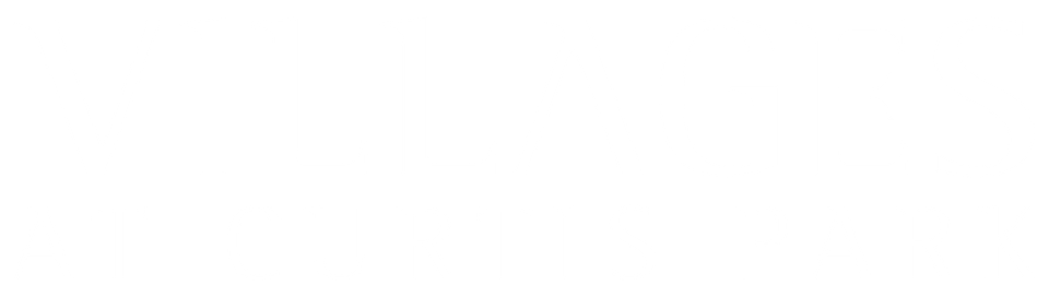 Mostly blank white image with a thin black horizontal line near the bottom.
