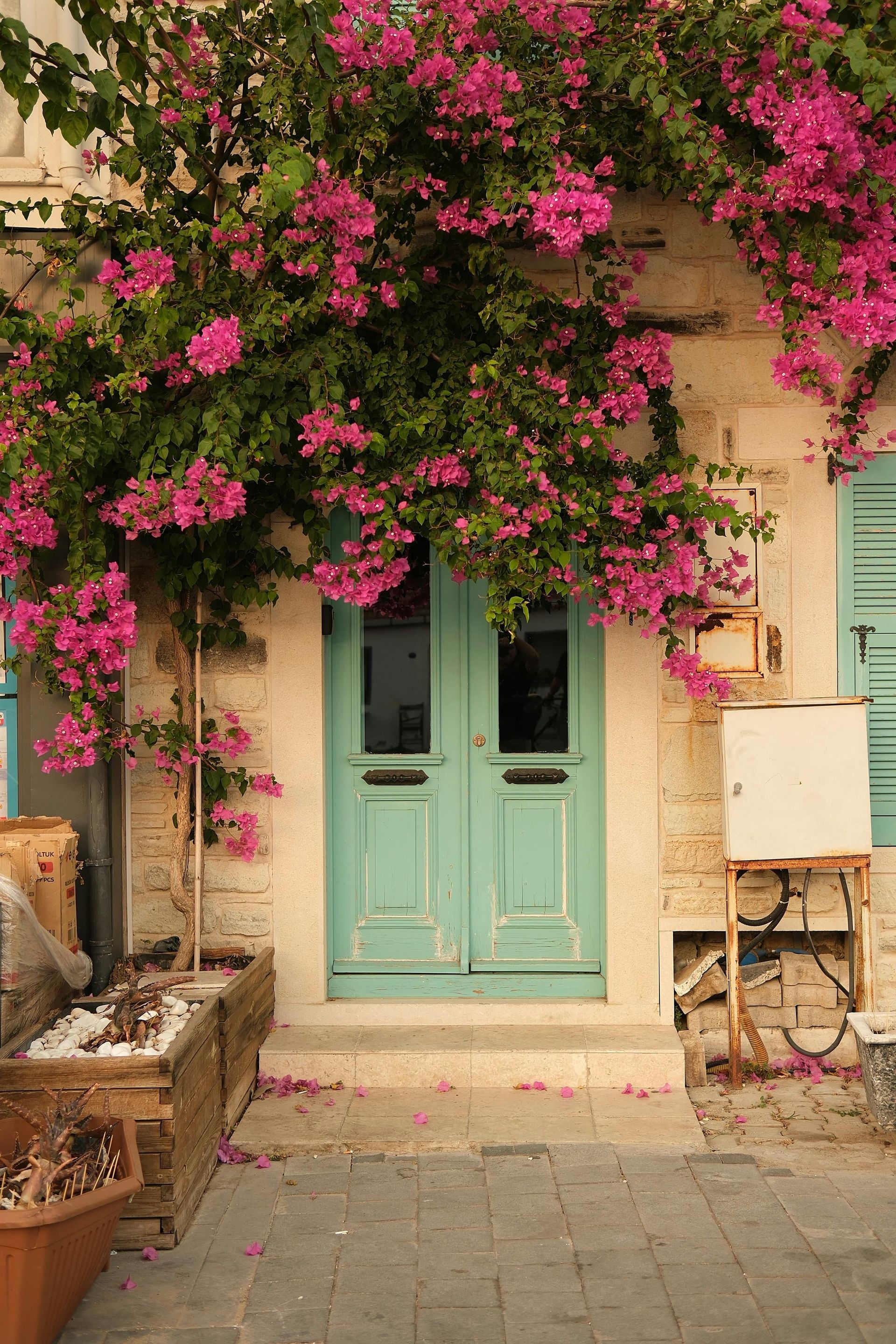 Une double porte bleu clair patinée par le temps, encadrée par des bougainvillées rose vif, sur un bâtiment en pierre.