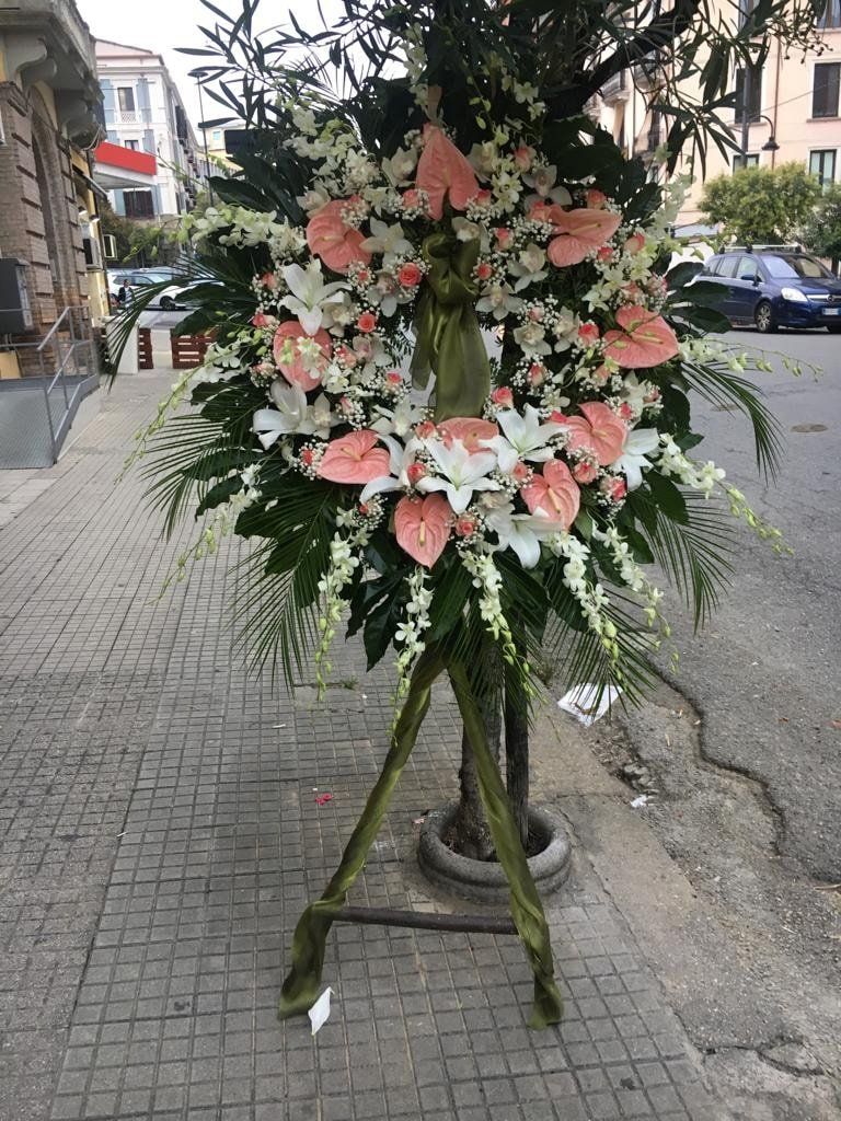 corona rotonda
