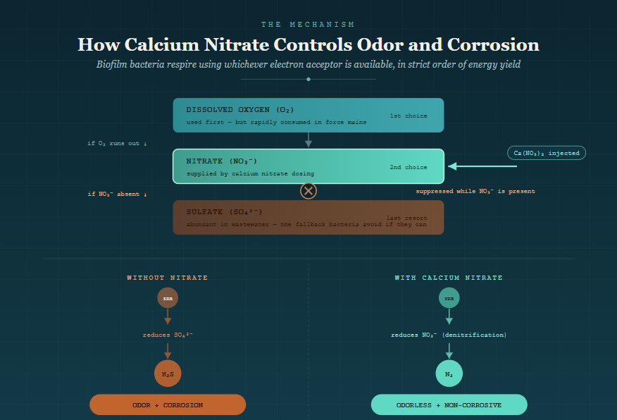 Calcium Nitrate Odor