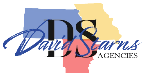 David Starns Agencies logo with blue script over Louisiana silhouette in white, pink, and gold with black initials DSA