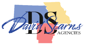 David Starns Agencies logo with blue script over Louisiana silhouette in white, pink, and gold with black initials DSA