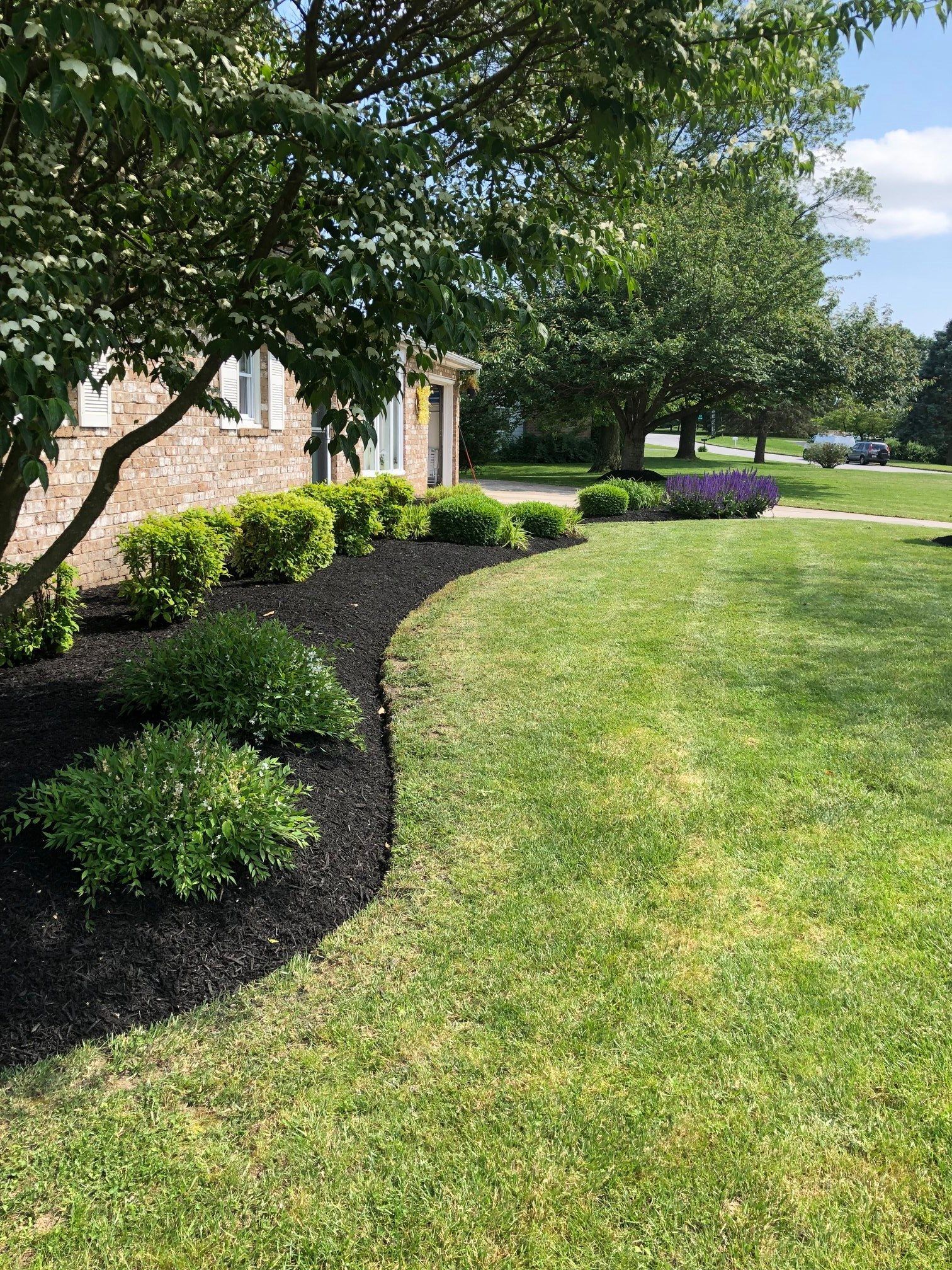 A lush green yard with a brick house in the background.
