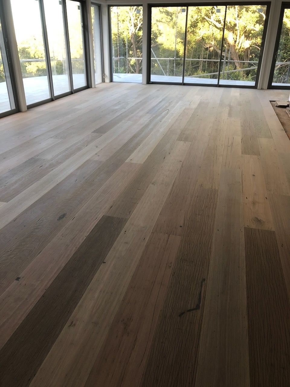 A bright, modern room featuring wide-plank, light-toned wood flooring with large windows looking out onto trees.