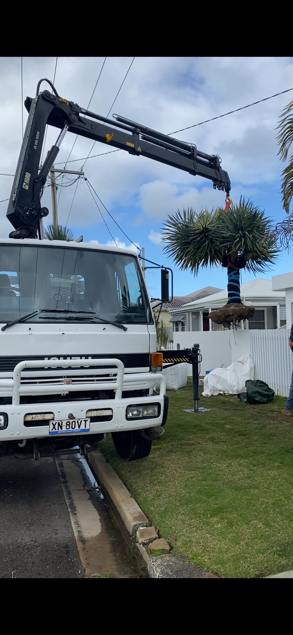 Feature tree installations