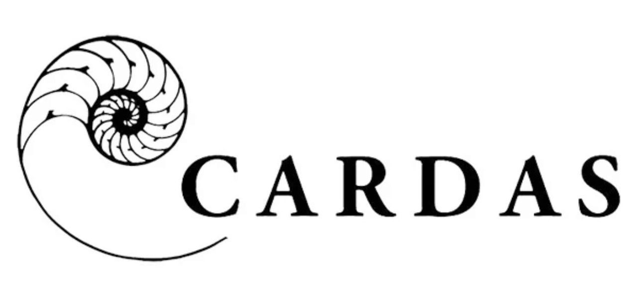 A black-on-white logo featuring the word