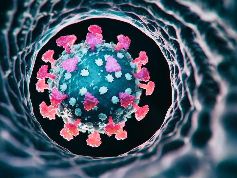 3D illustration of a spiky blue coronavirus particle with pink proteins inside a circular tunnel
