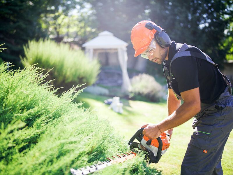 Person trimming bushes with a hedge trimmer in a sunny garden