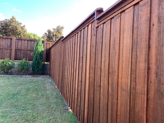 Wooden backyard fence along a grassy lawn, with garden shrubs and trees in the corner.