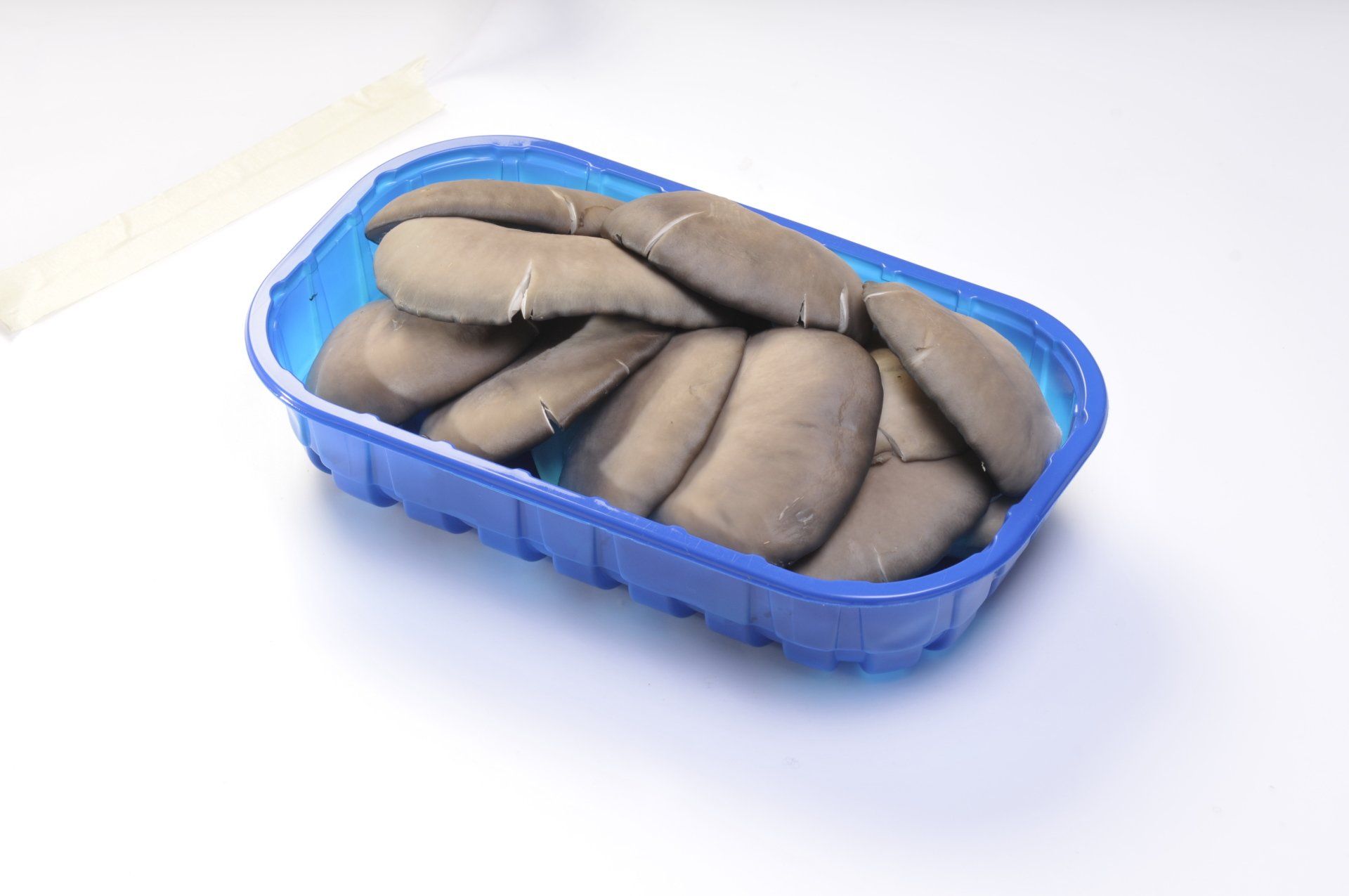 Funghi ostrica in un contenitore di plastica blu su una superficie bianca.