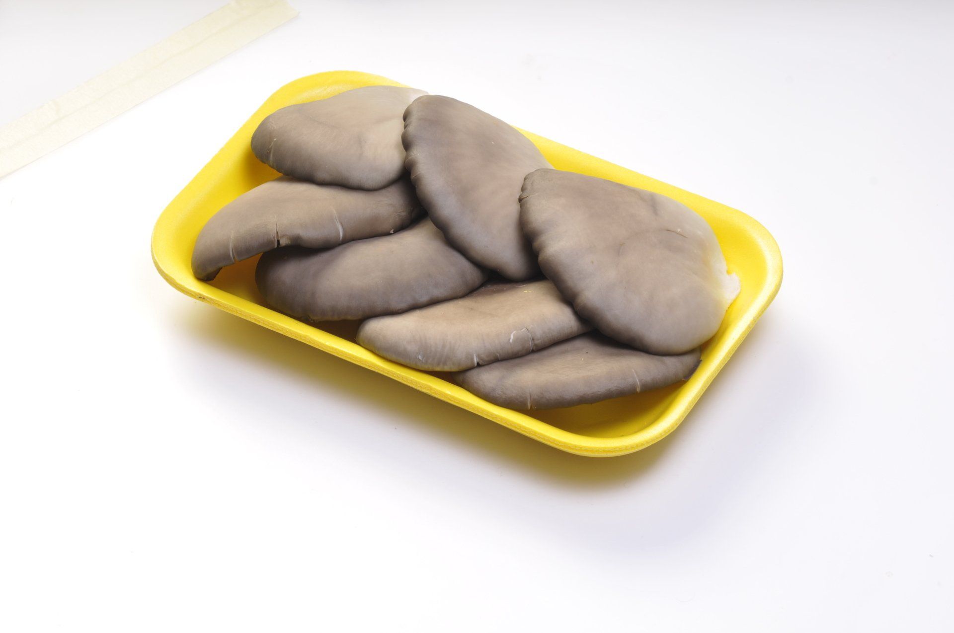 Funghi ostrica in un vassoio di plastica gialla su una superficie bianca. I funghi sono grigi.