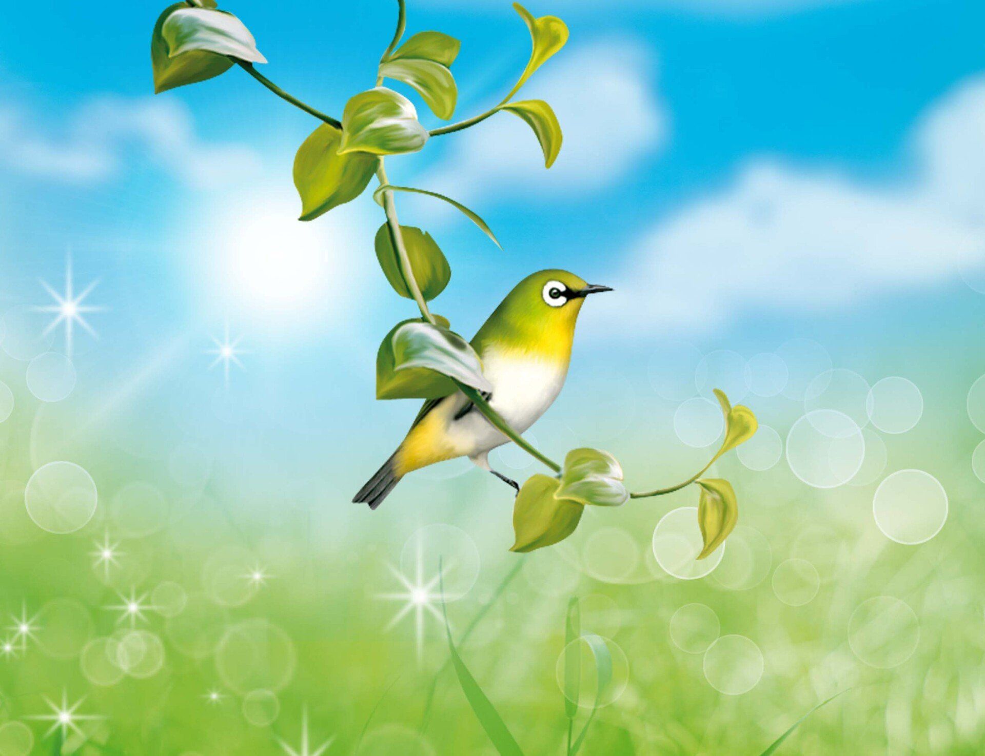 Een klein, groen-wit vogeltje zit op een bladerrijke klimplant tegen een wazige, zonovergoten weideachtergrond met bokeh-effecten.