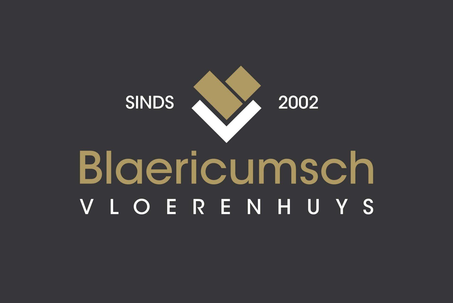 Logo voor Blaericumsch Vloerenhuys, met een goud-wit geometrisch icoon boven de bedrijfsnaam, daterend uit 2002.