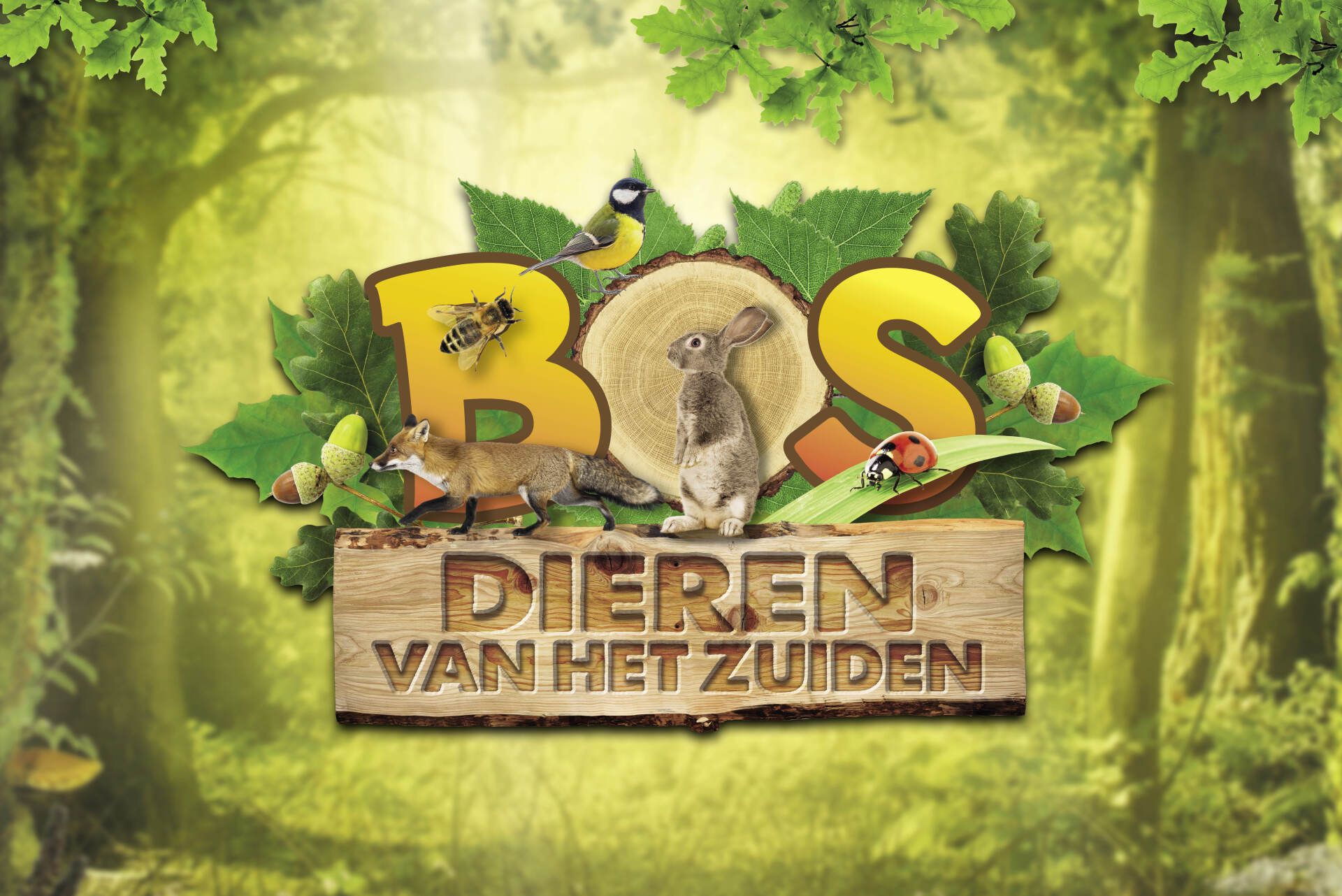 Een afbeelding met de tekst 