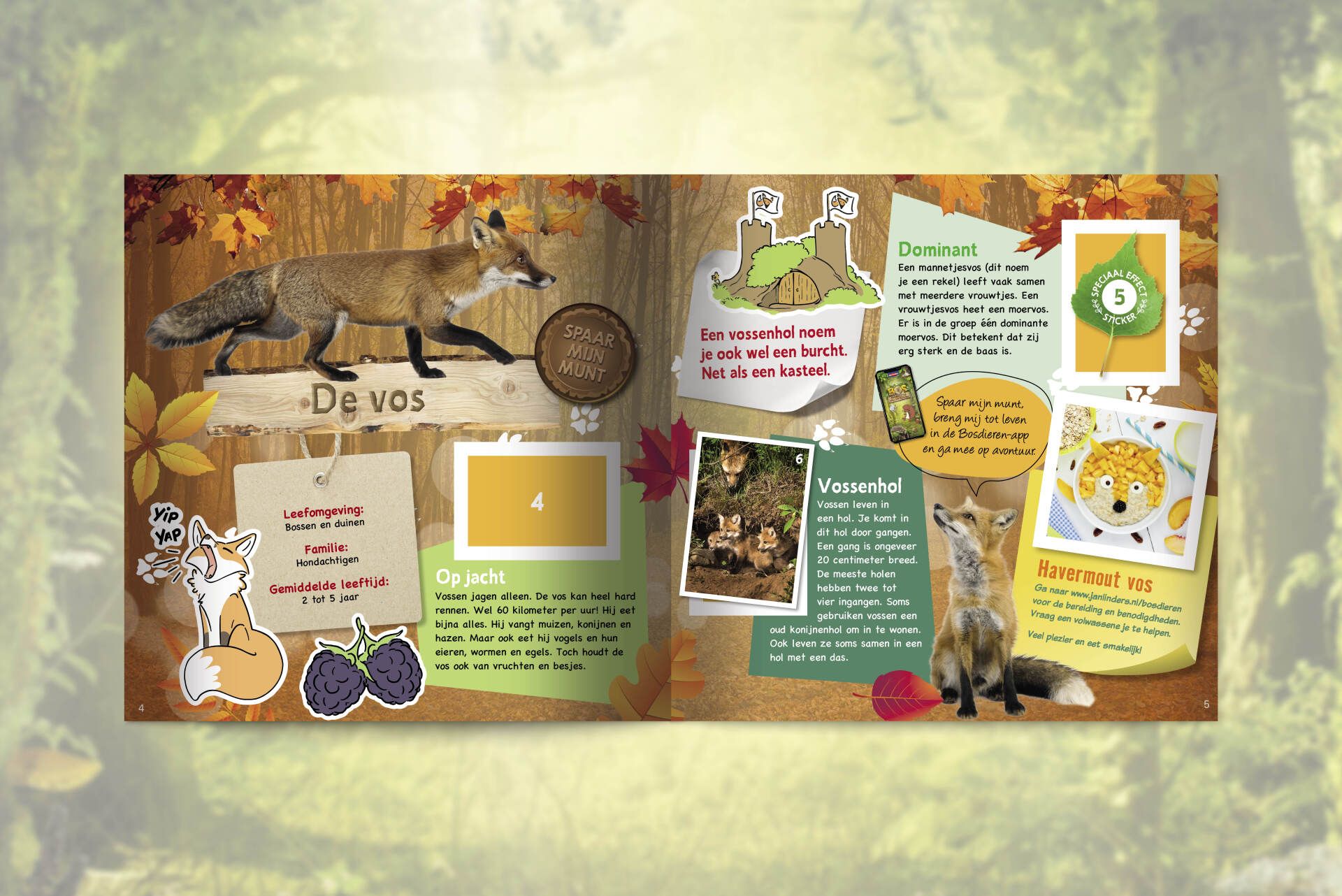 Een educatieve spread van twee pagina's over vossen, met foto's, illustraties, Nederlandse tekst en afbeeldingen met een bosachtig thema.