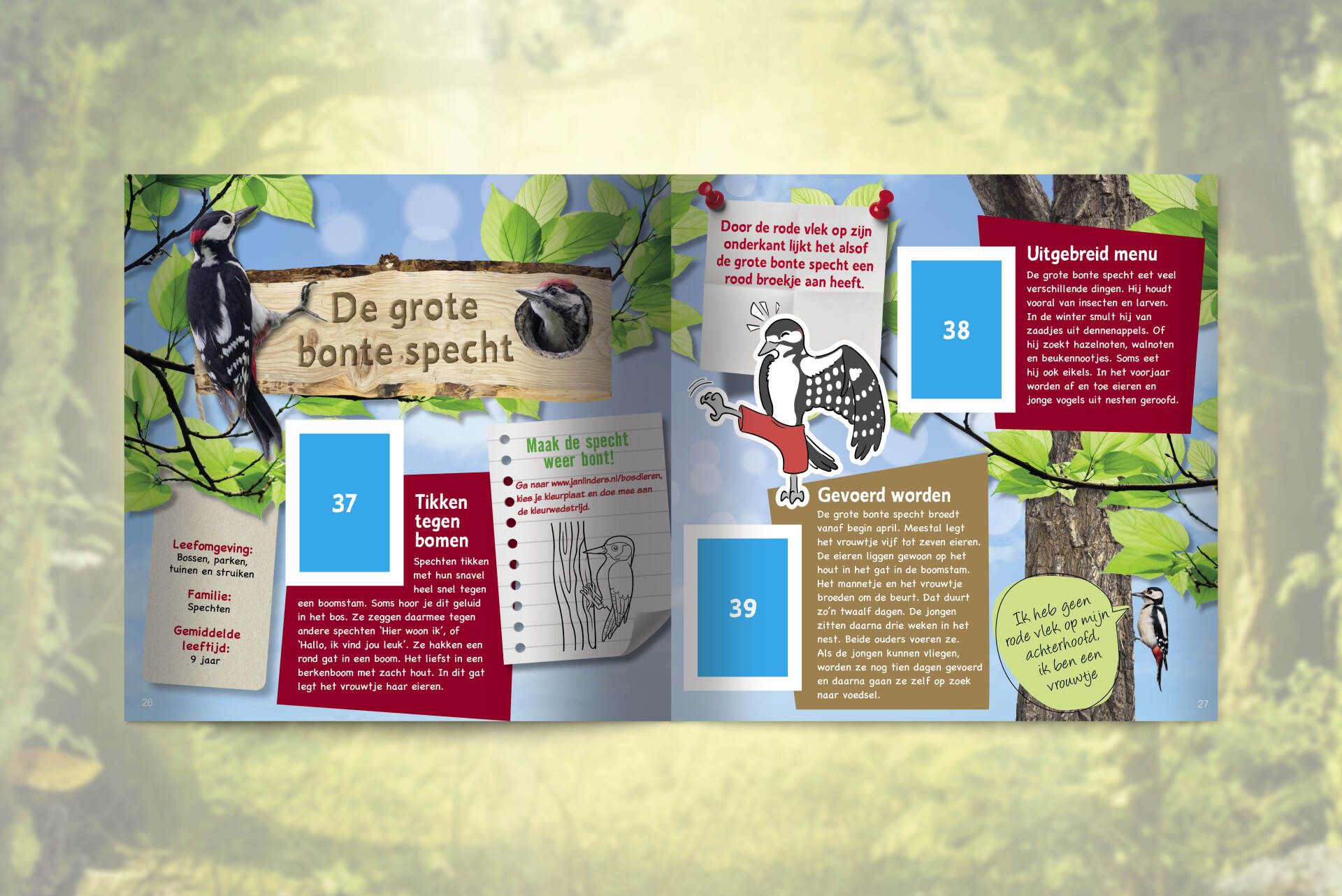 Een dubbele pagina uit een educatief stickerboek over de Grote Bonte Specht, met tekst, weetjes en stickers.