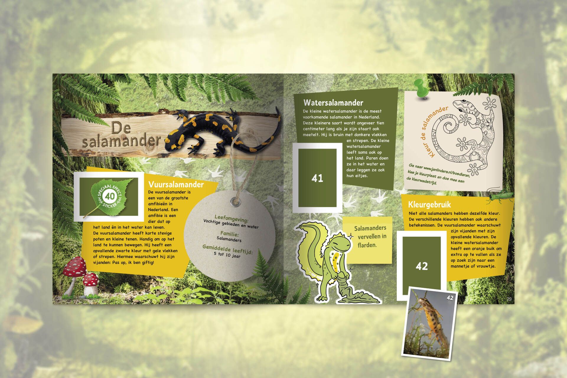 Een digitale educatieve pagina over salamanders, met tekst, foto's, een tekening van een dier en een rond label.