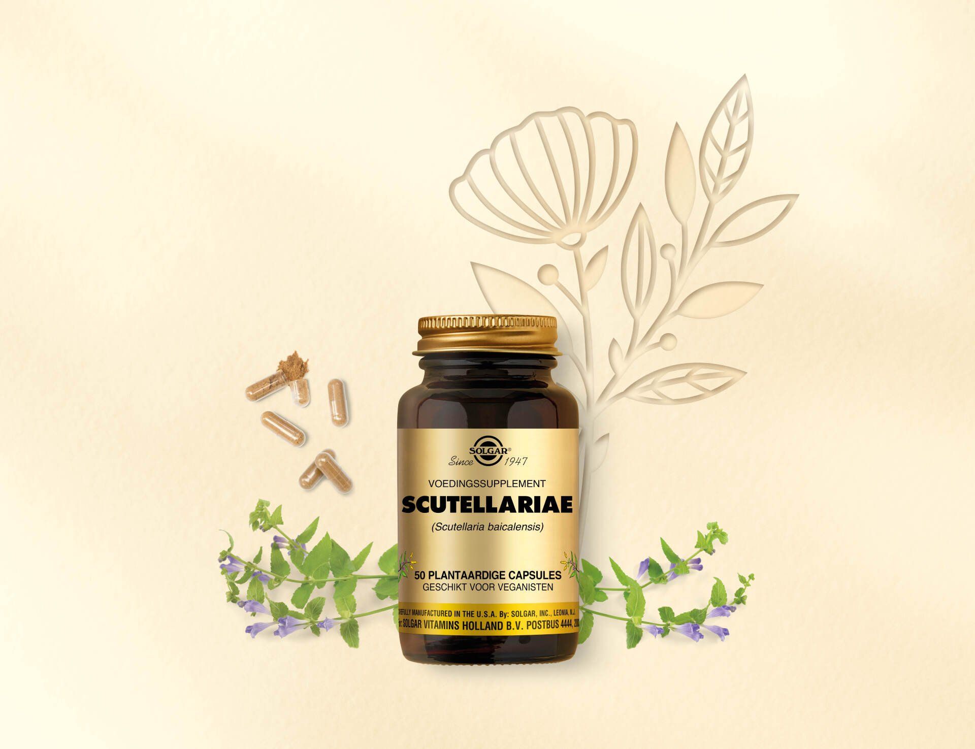 Een flesje Scutellaria-supplement omringd door capsules, delicate lijntekeningen van bloemen en takjes lavendel.