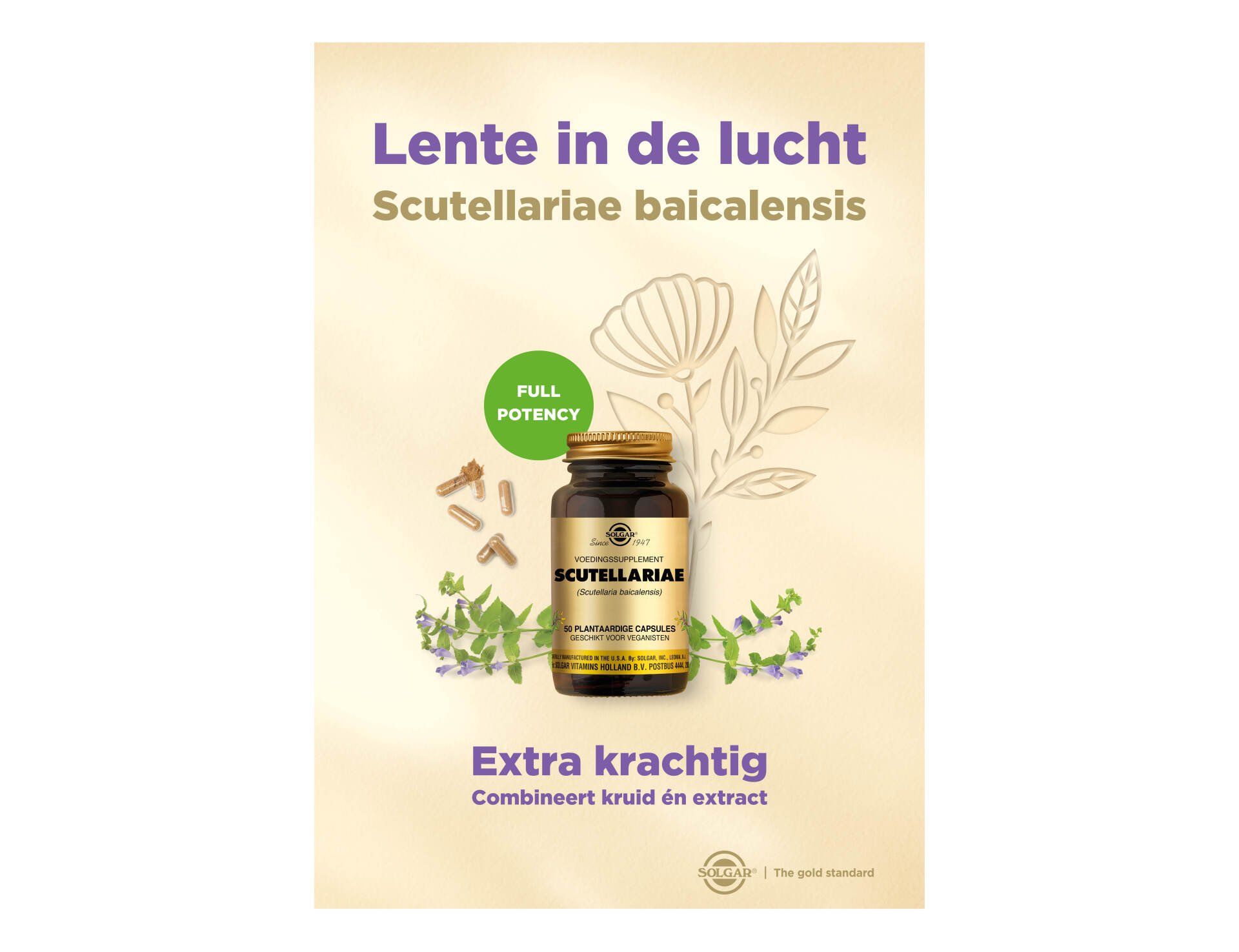 Een productadvertentie voor een supplement met Scutellaria baicalensis, met een fles, botanische illustraties en tekst.