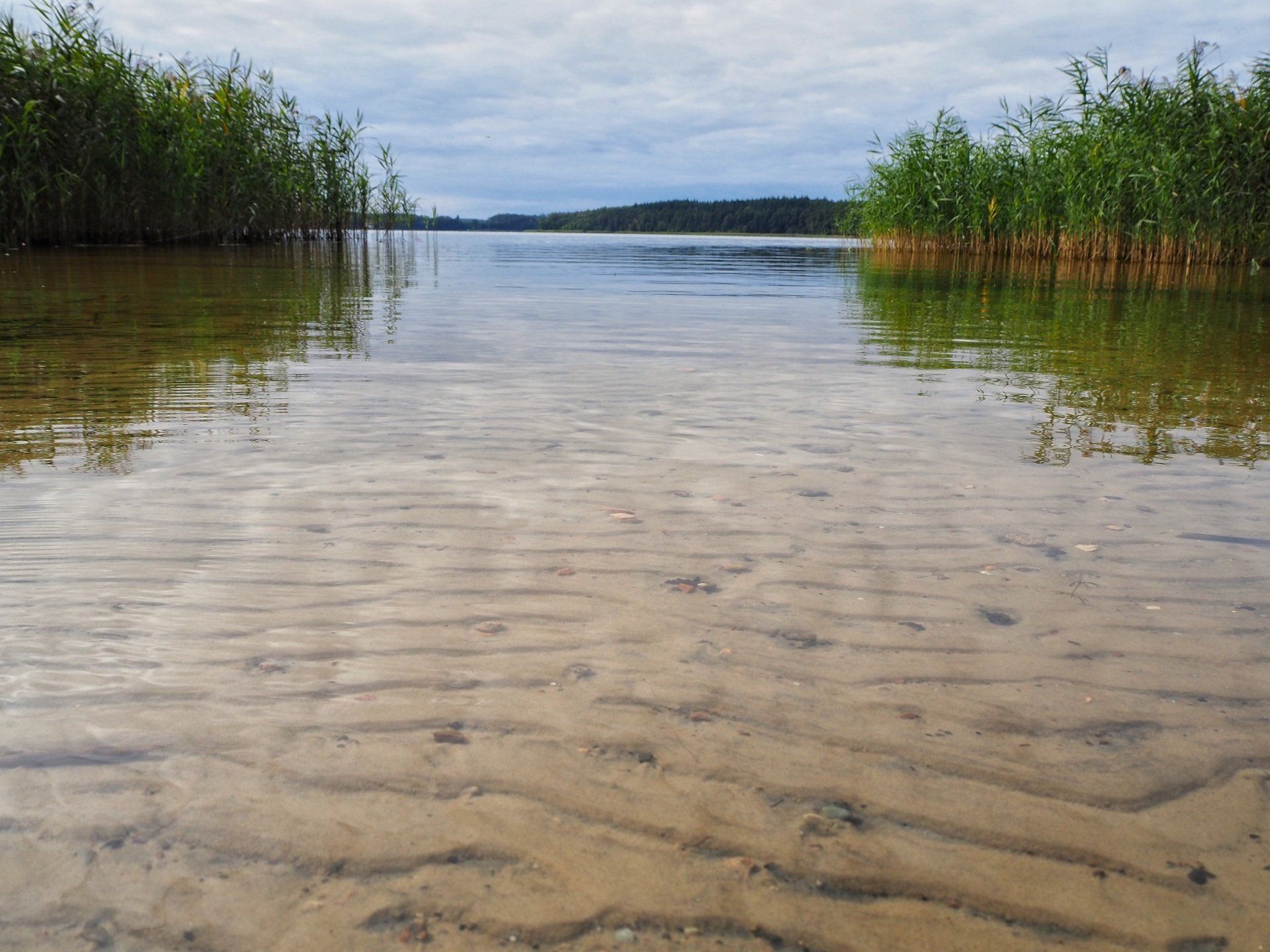 Mecklenburgische Seenplatte Mecklenburgische Seenplatte