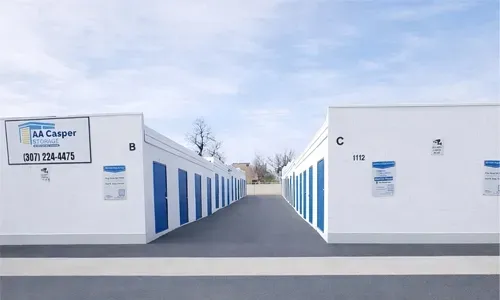 Storage facility with rows of blue-and-white units and a central driveway under a clear sky