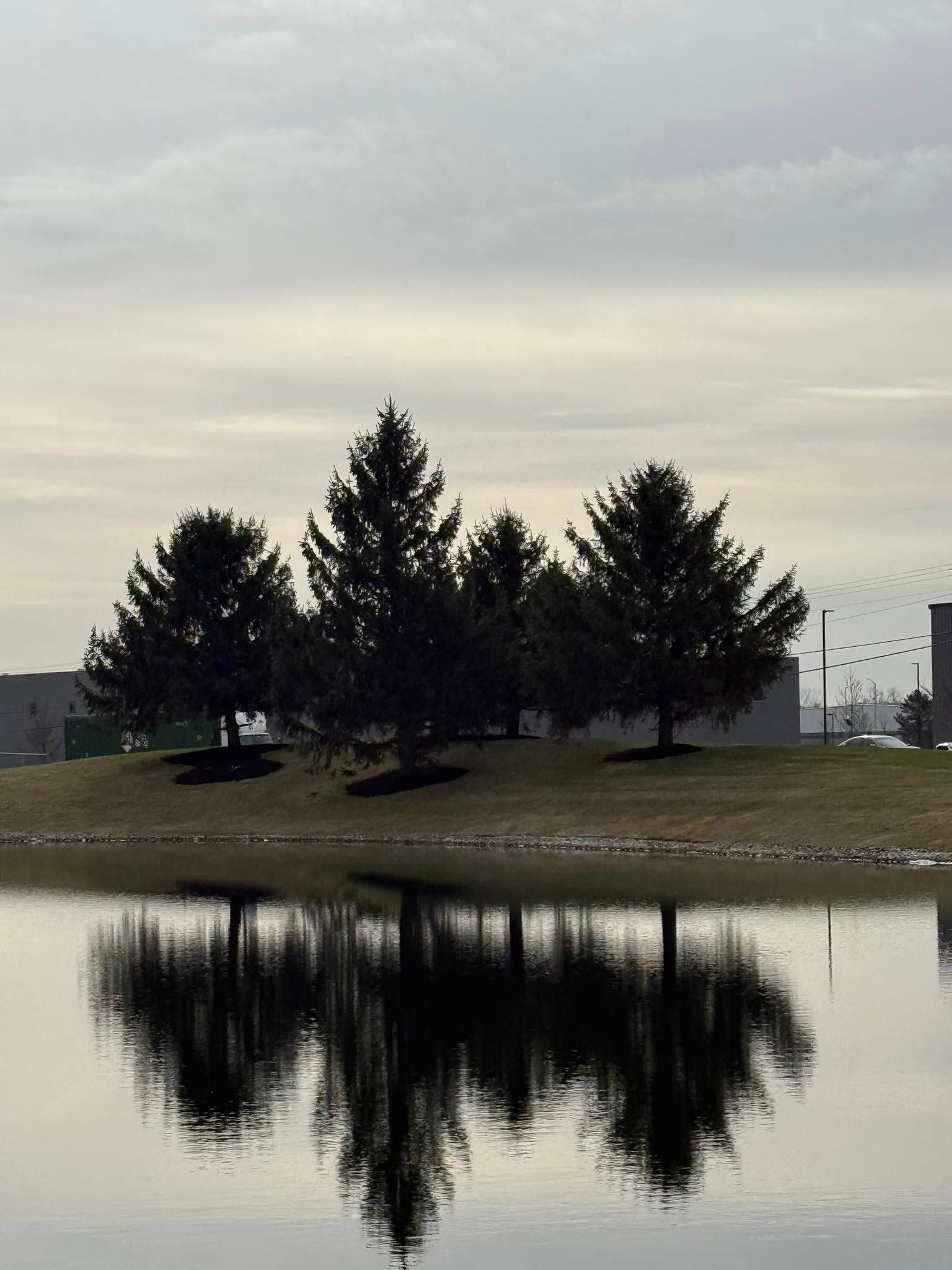 Dark evergreen trees reflected in a calm pond under an overcast sky.