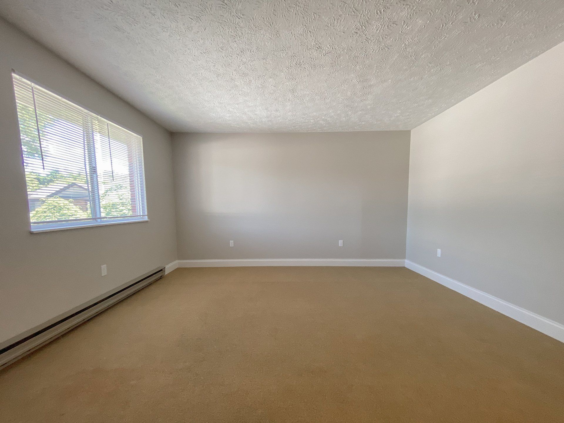 Clearview Meadows Interior  Photo