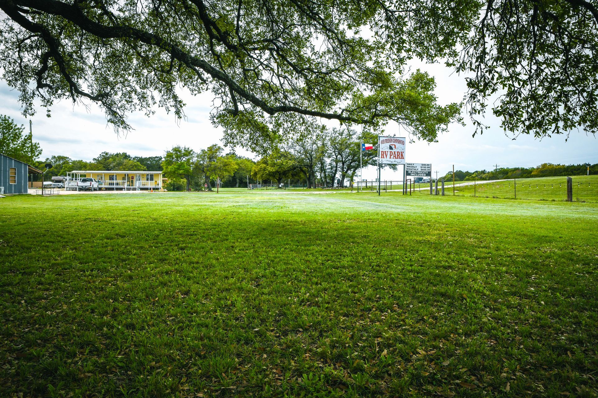 A lush green field with a house in the background and a tree in the foreground.