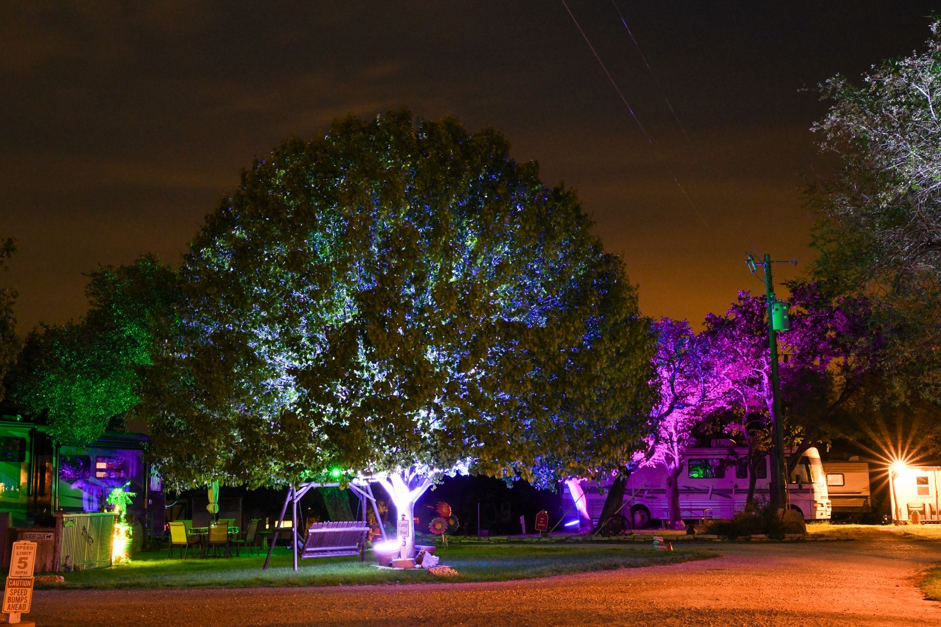 A tree is lit up with purple and green lights at night.