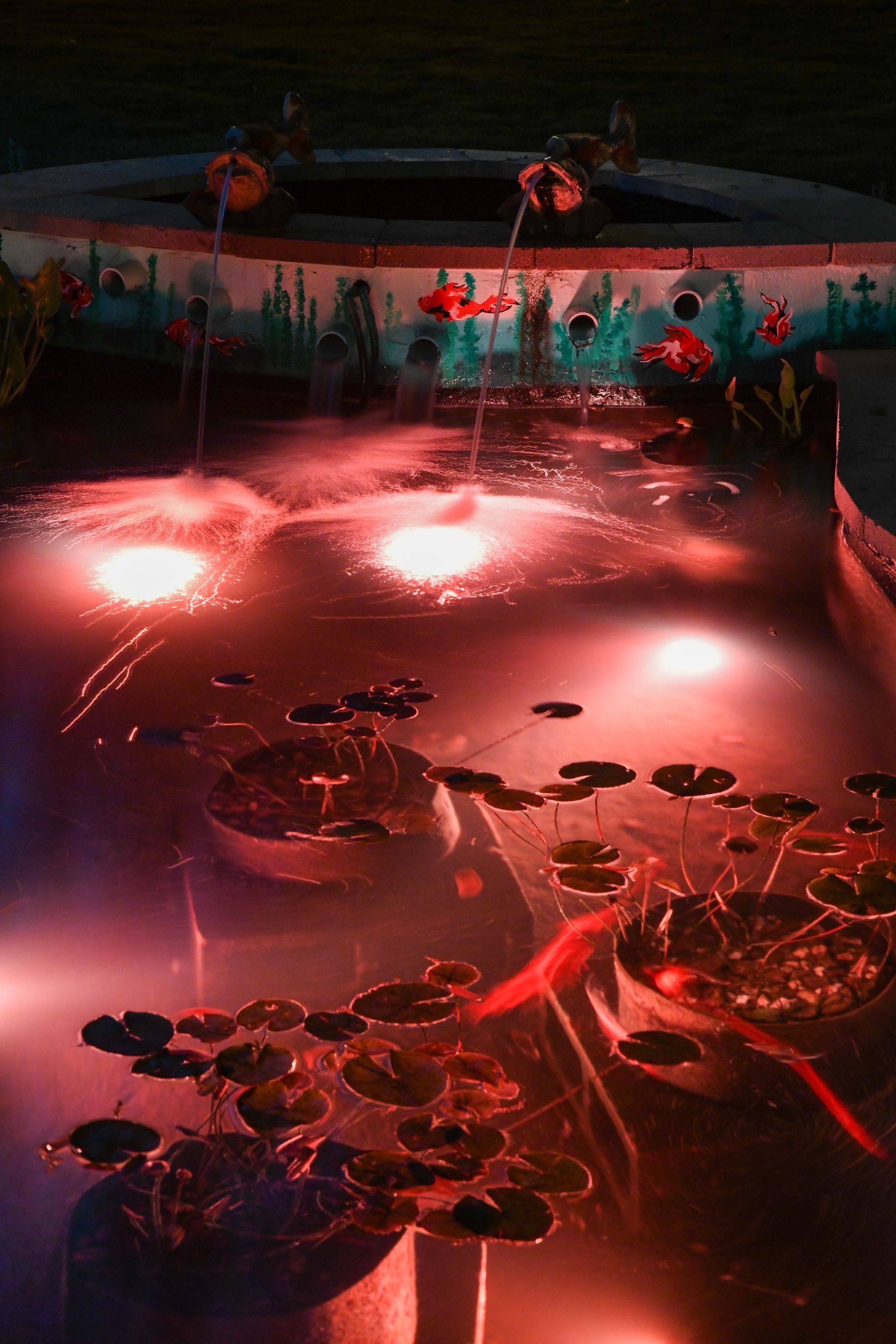 A swimming pool filled with water lilies and fish at night.