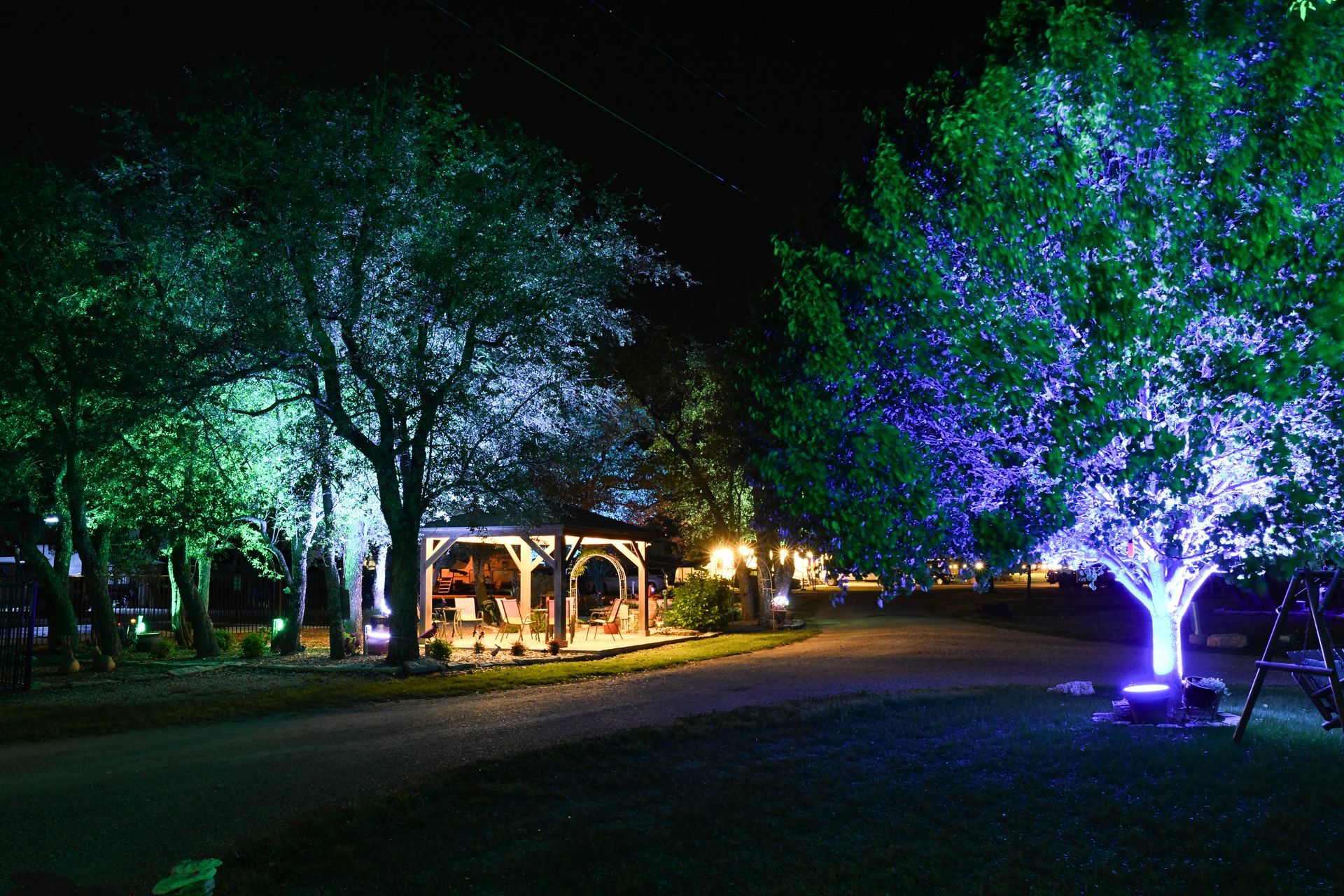 Trees are lit up with purple and green lights at night