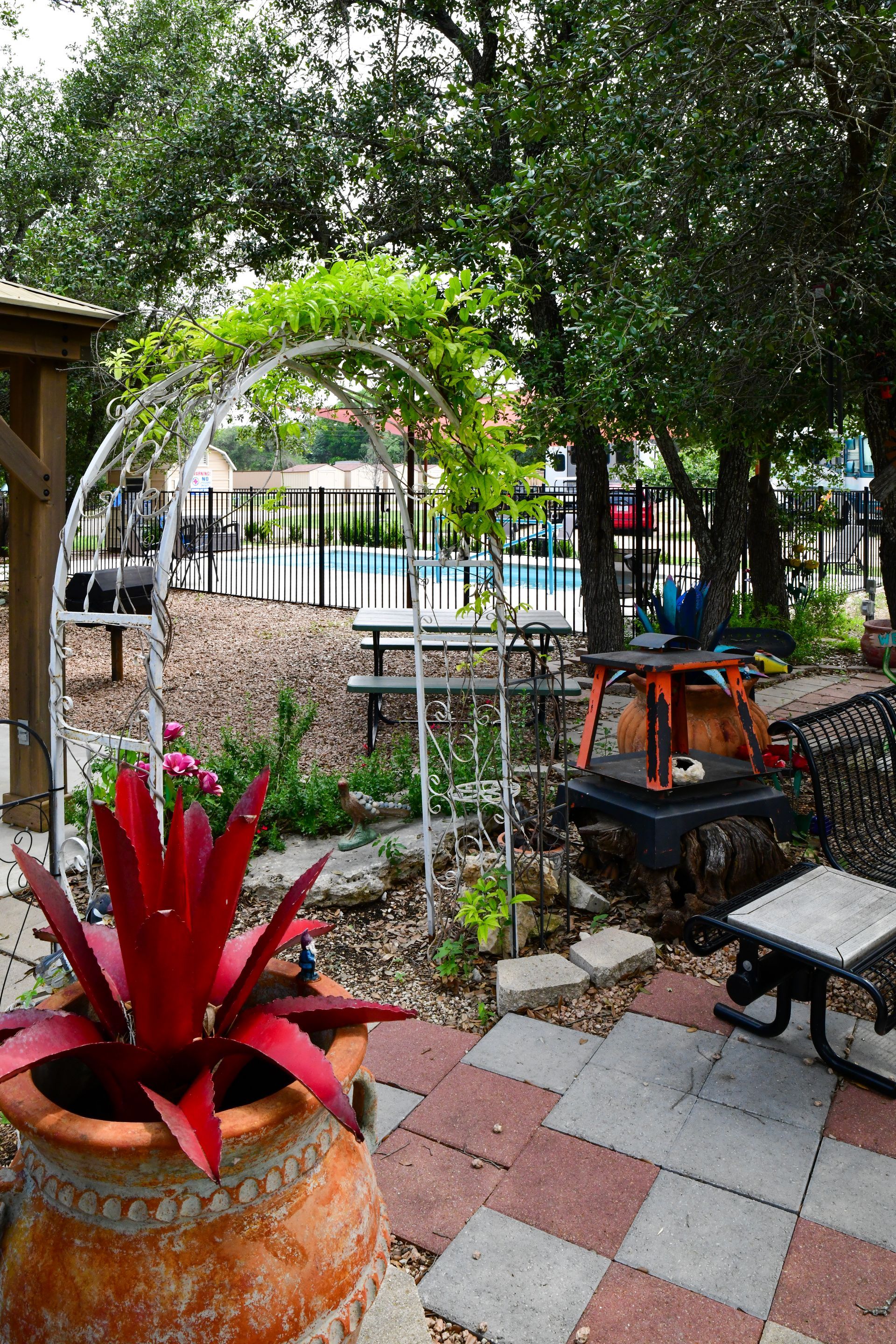 A potted plant is sitting on a patio next to a pool.