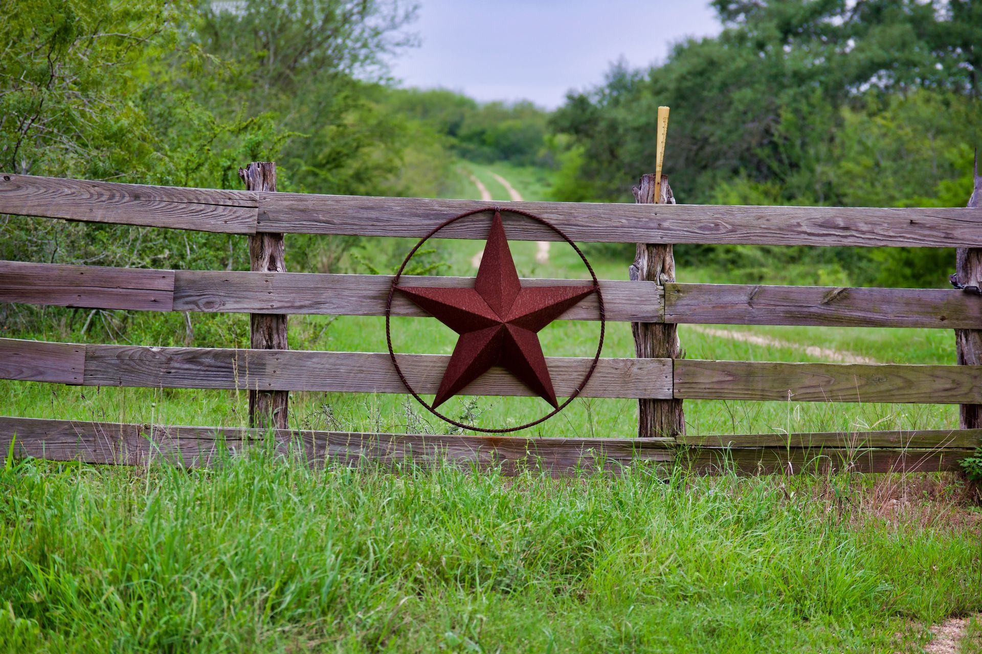 Wooden fence with a rusty star, blocking a dirt road leading into greenery.