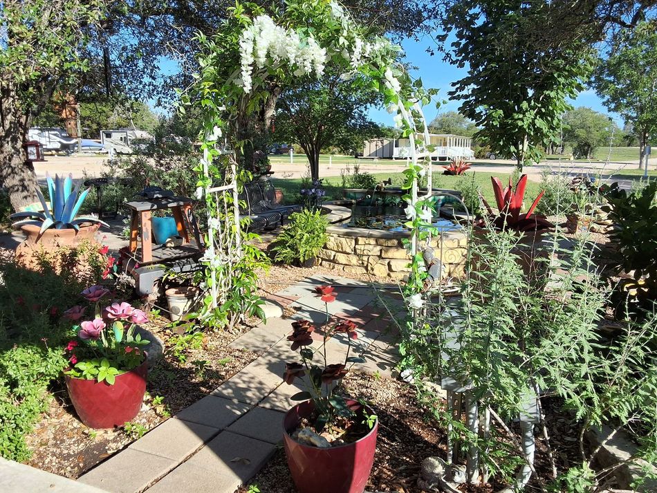 A garden with lots of potted plants and trees