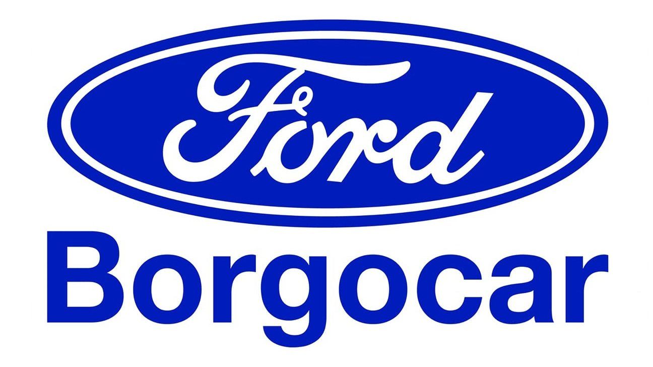 BORGOCAR S.A.S. DI SCACCAGLIA MICHEL - LOGO