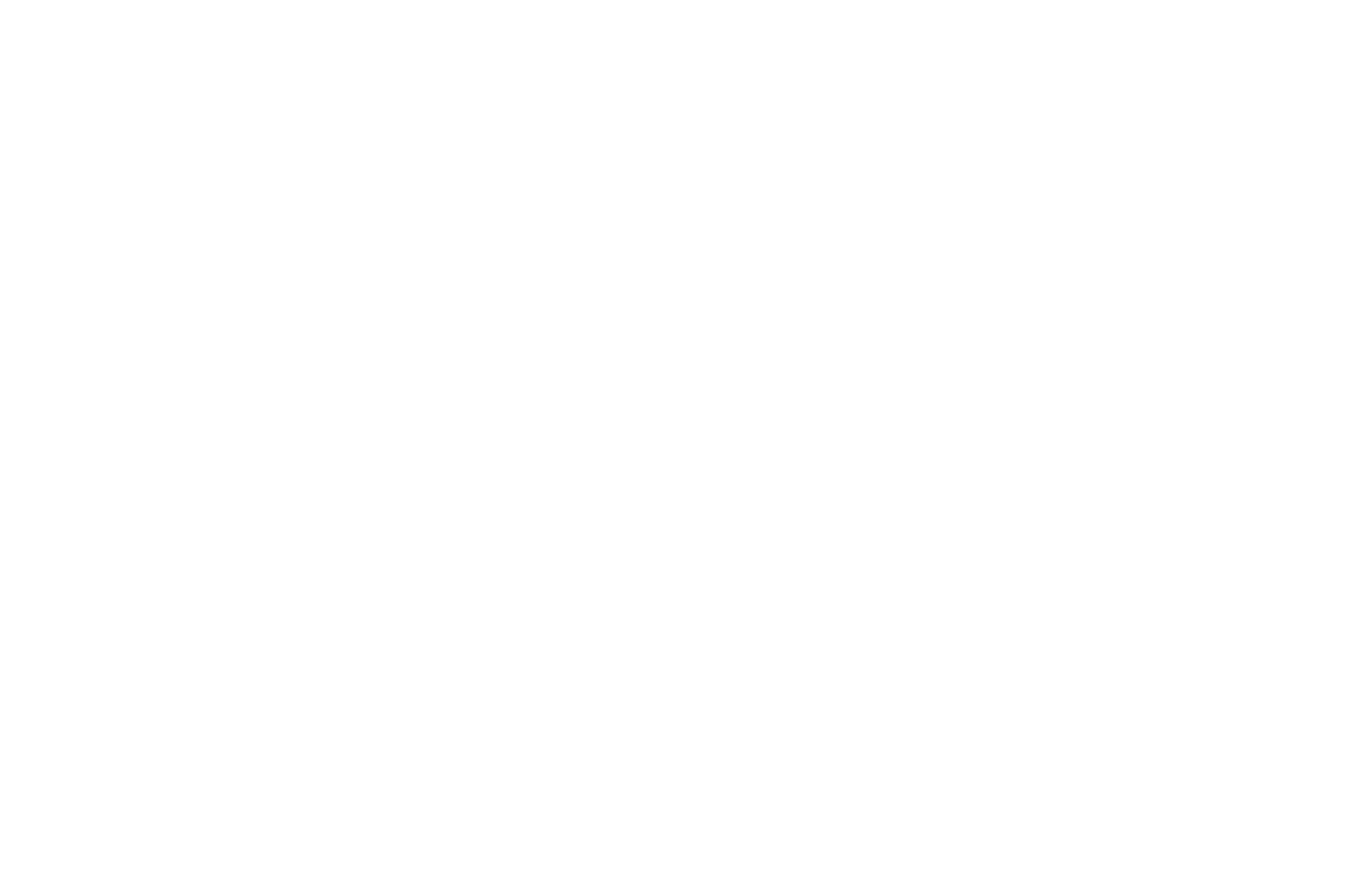 logo-image