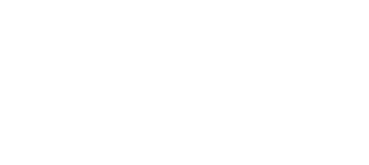 Skelton Storage Logo