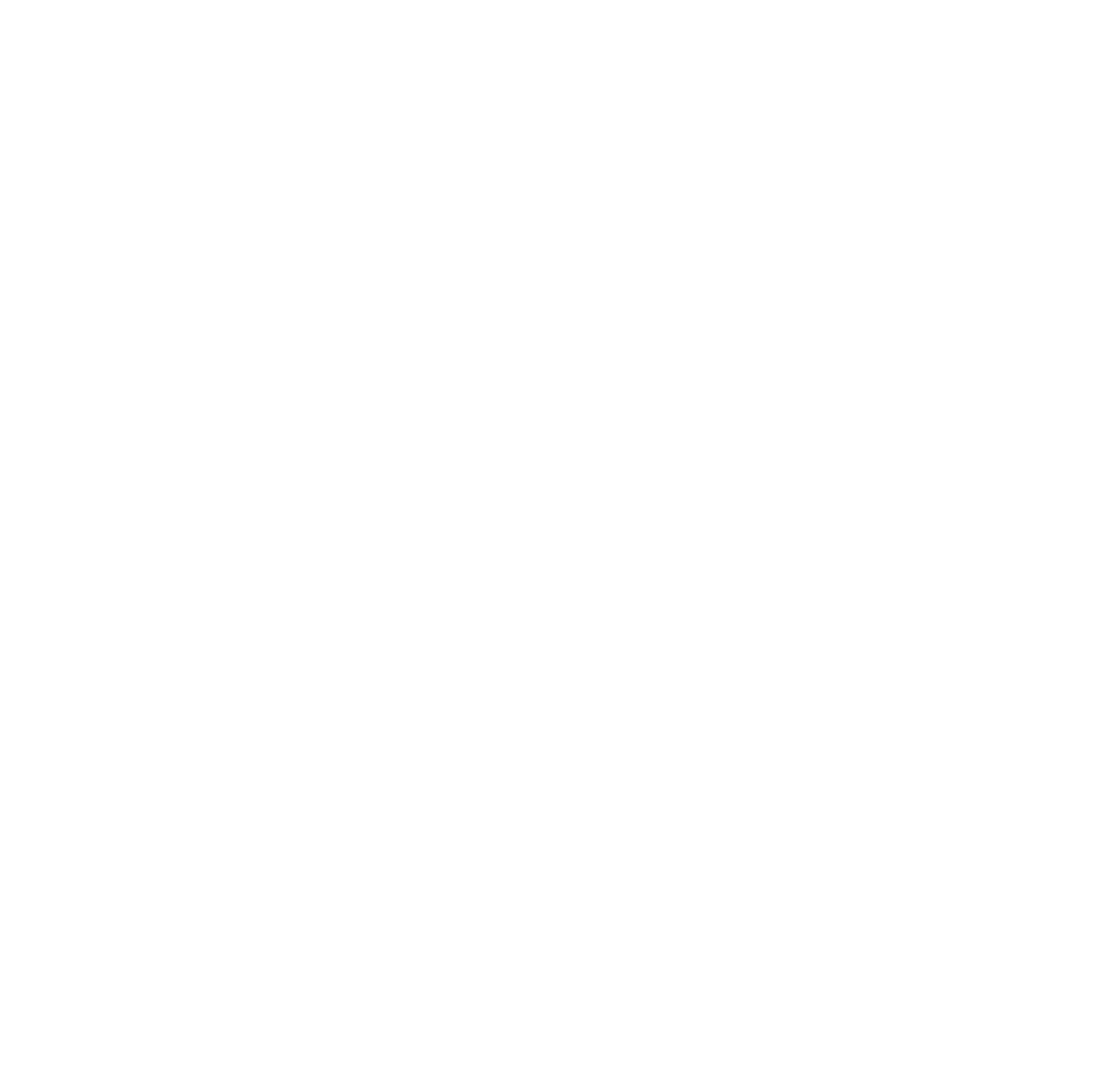 Black Ronins Action Fitness logo 