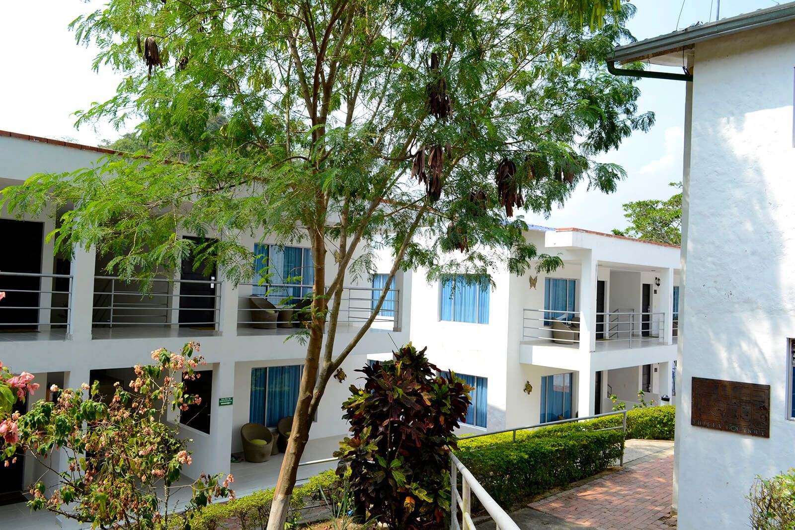 Edificios de apartamentos blancos con ventanas y balcones azules, vistos a través de árboles y vegetación.