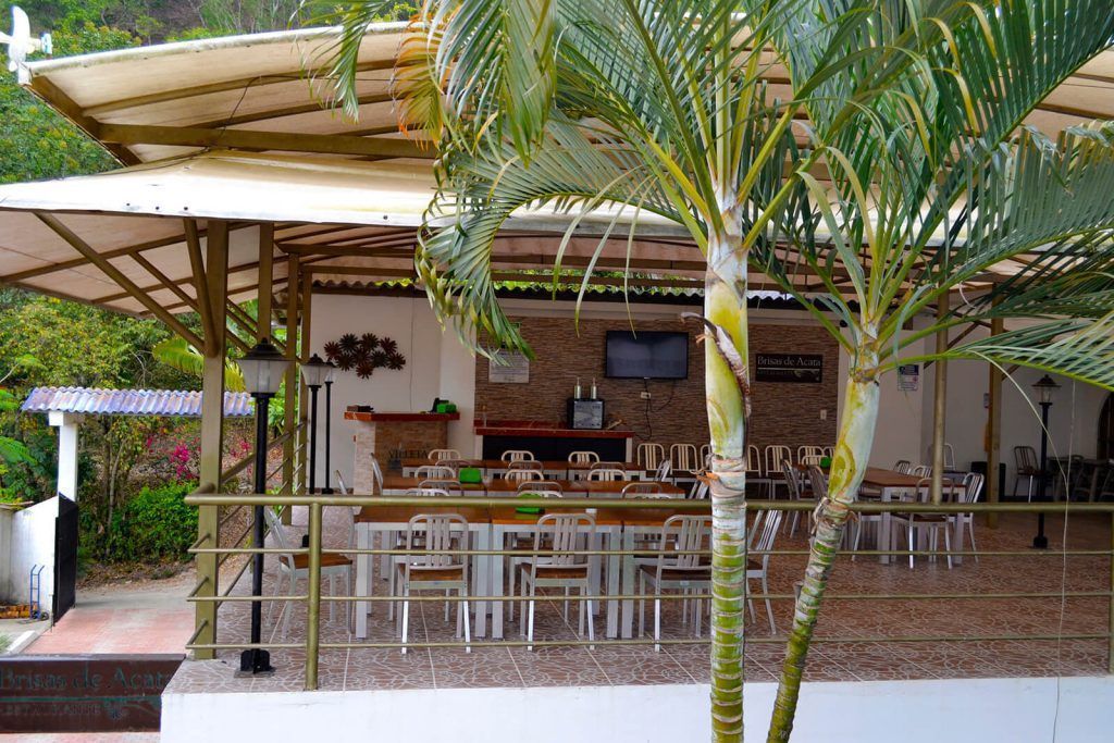 Patio tropical al aire libre con barra, mesas y palmeras junto a la piscina.