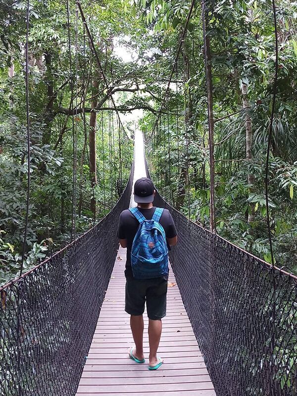 Persona con mochila azul caminando sobre un puente colgante en un bosque frondoso.